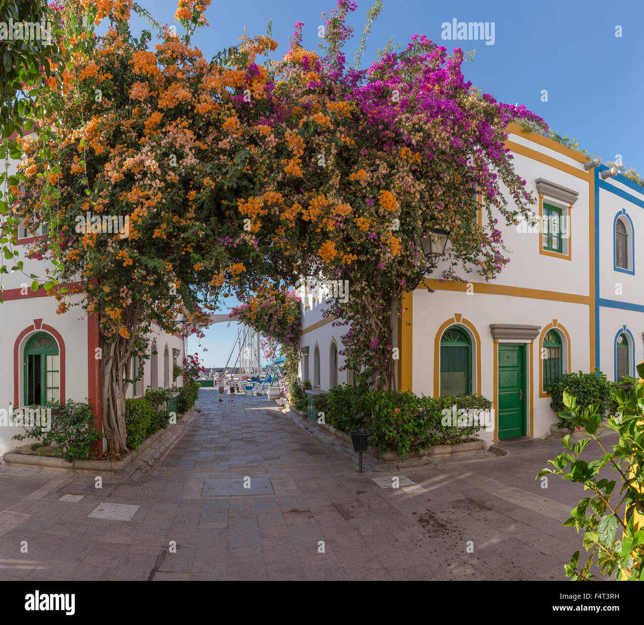 Spagna, Europa, Puerto de Mogan, Gran Canaria Isole Canarie, villaggio vacanze, città, villaggio, fiori, estate, Foto Stock