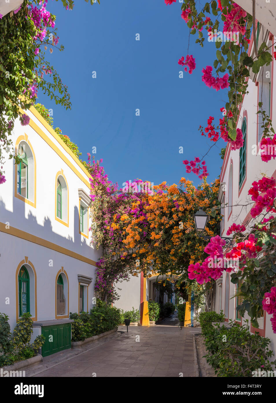 Spagna, Europa, Puerto de Mogan, Gran Canaria Isole Canarie, villaggio vacanze, città, villaggio, fiori, estate, Foto Stock