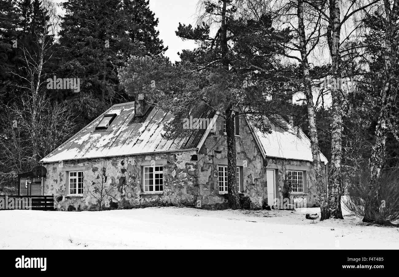 Pittoreschi cottage rustico nella neve nella foresta sul Rothiemurchus Estate, vicino a Aviemore, Cairngorms, Highland Scozia UK Foto Stock