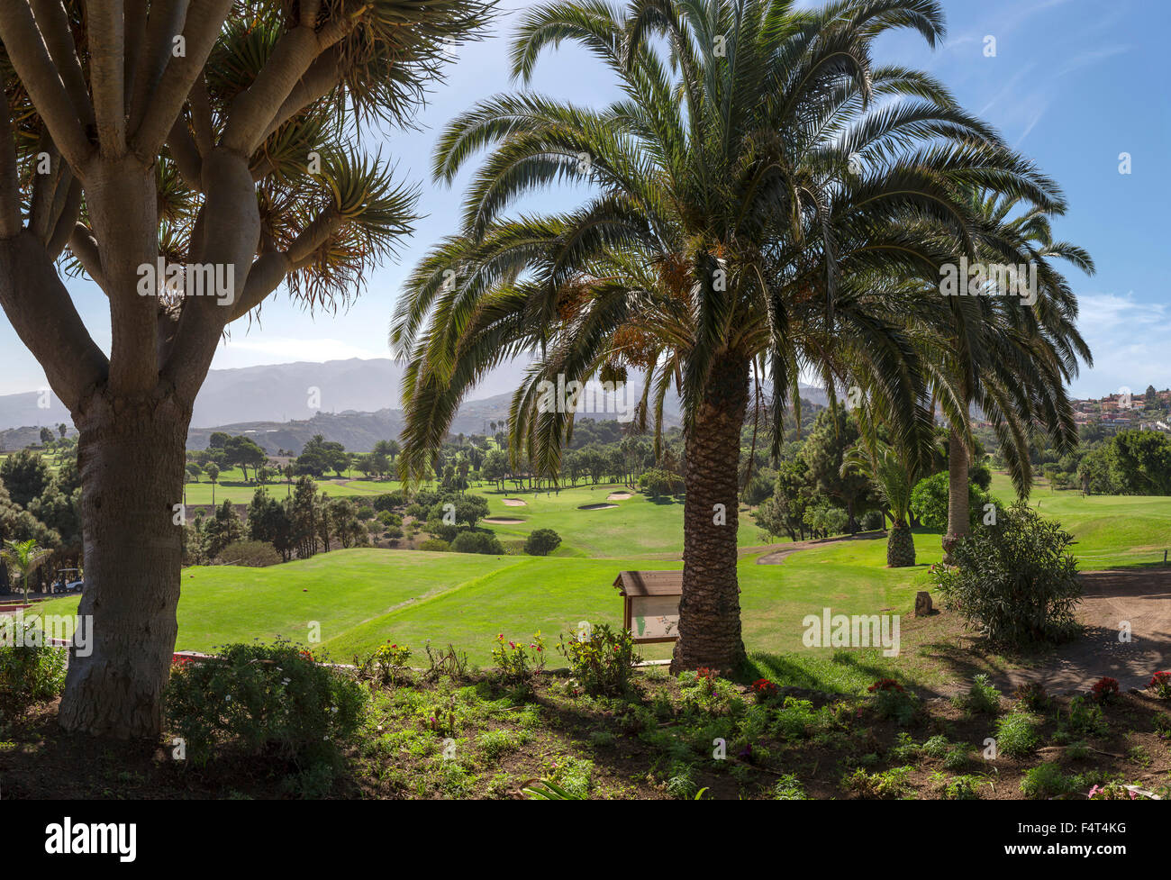 Spagna, Europa Telde, Gran Canaria Isole Canarie, Bandama, campo da golf, paesaggio, campo, prati, alberi, estate, montagne, hi Foto Stock