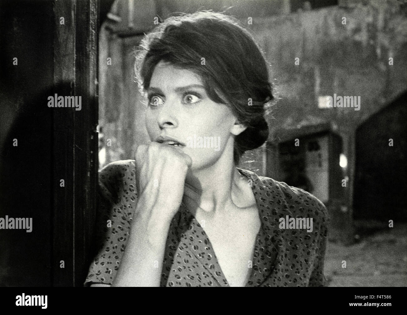 Italian attrice Sophia Loren Foto Stock