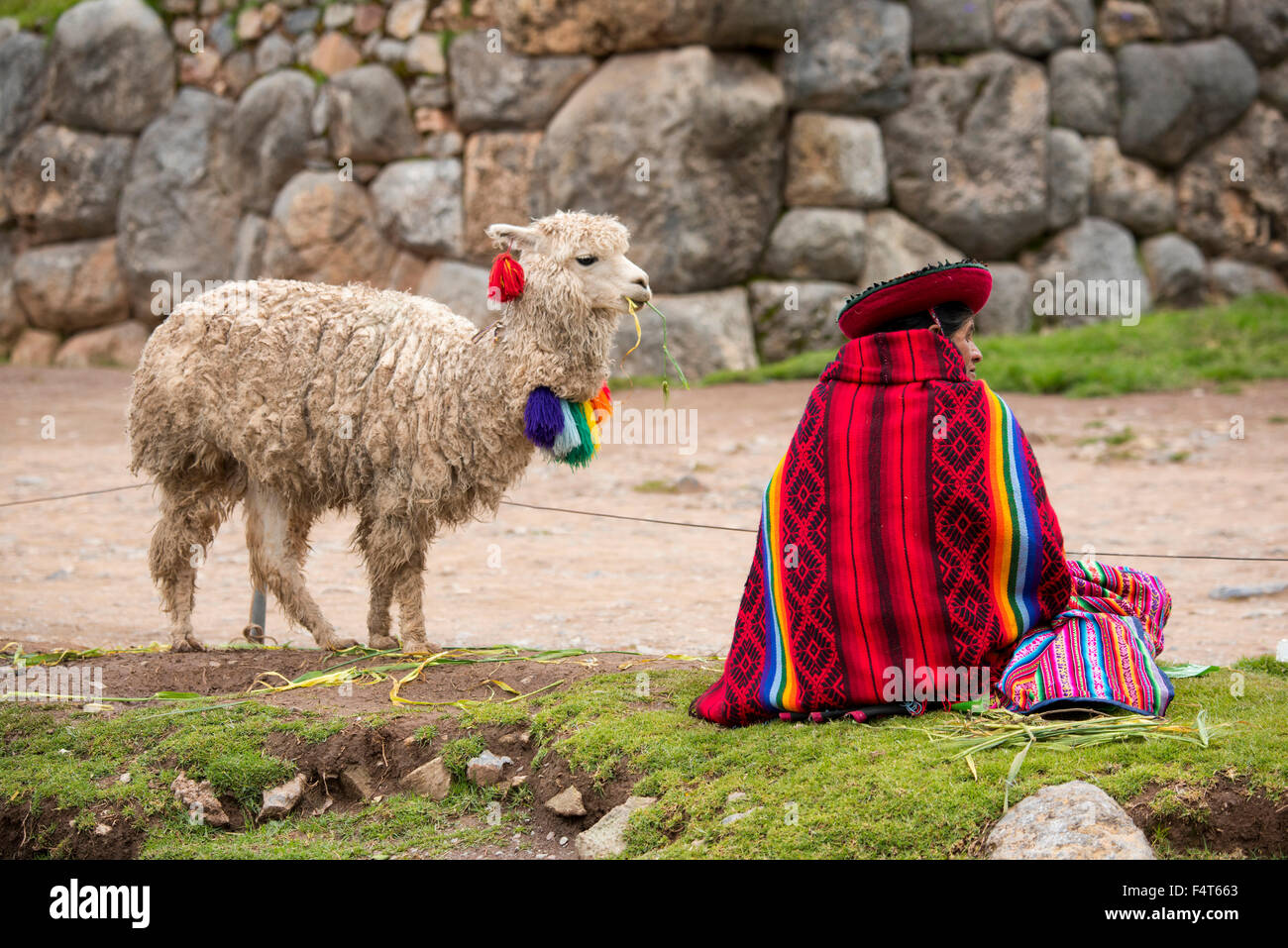 Sud America, America Latina, Ande, Perù, Saksaywaman Foto Stock