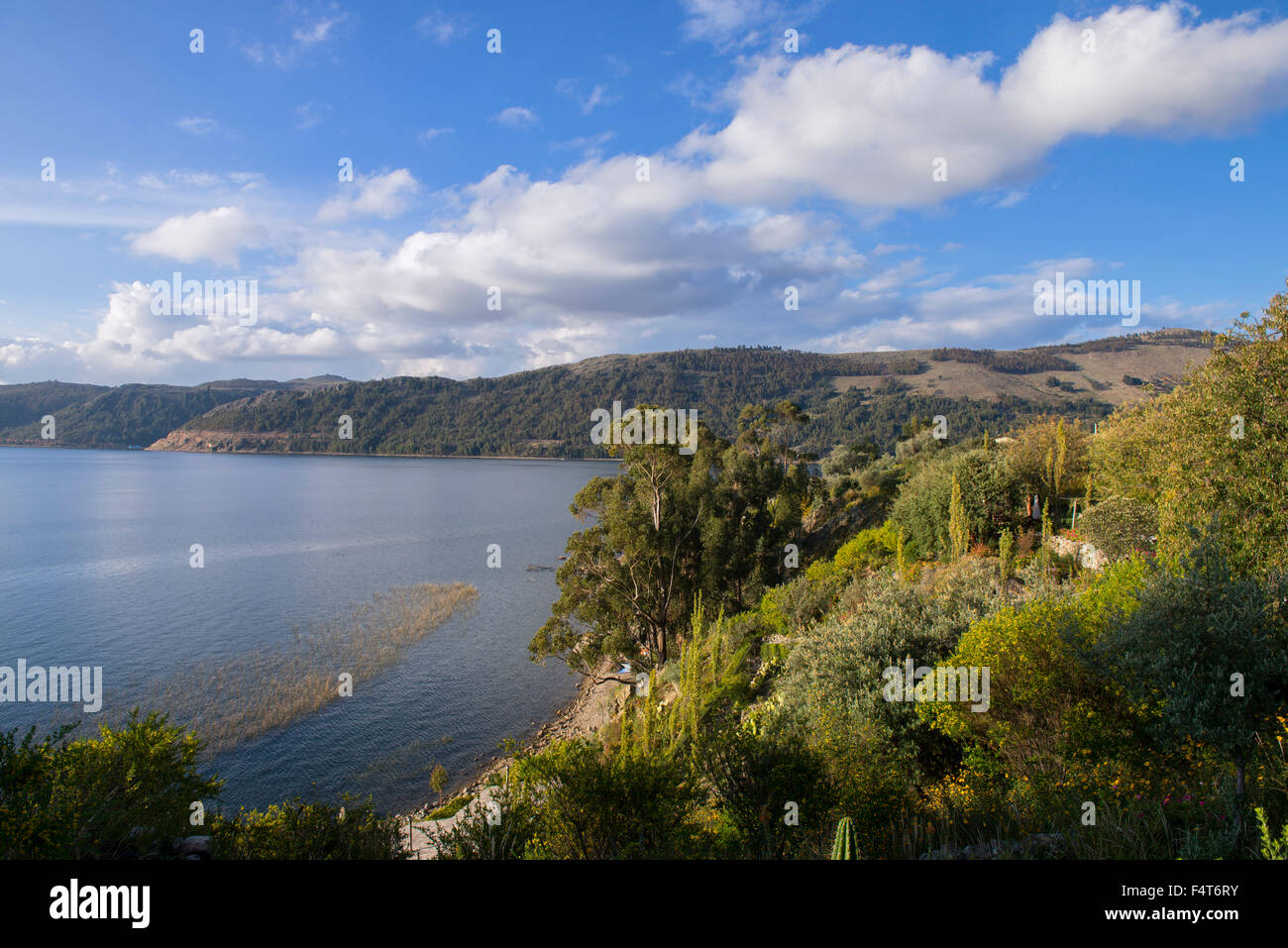 Sud America, America Latina, Perù Lago Titicaca, Isola di Suasi, giardino presso il lodge Foto Stock