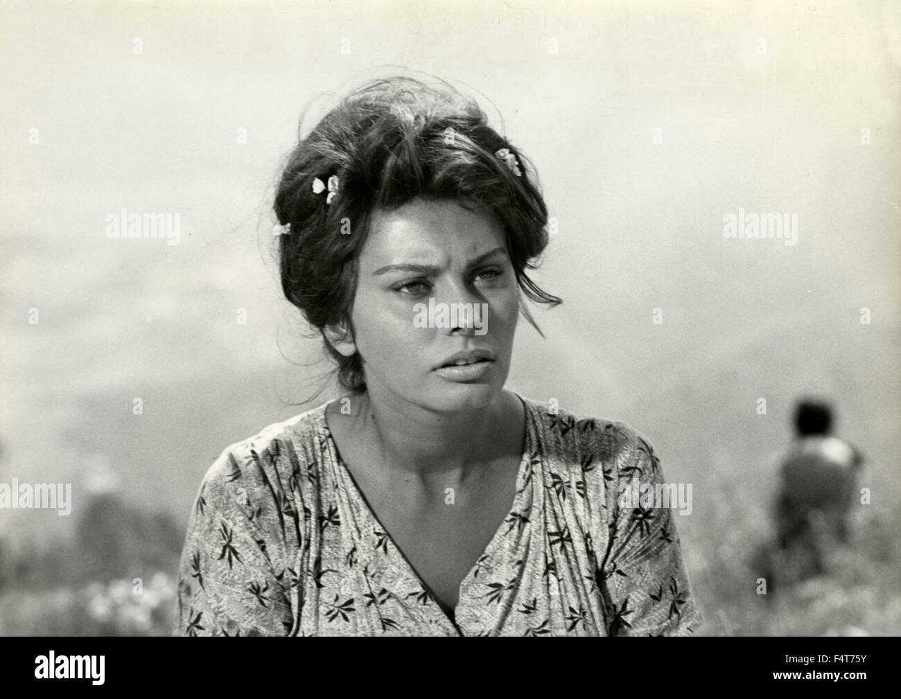 Italian attrice Sophia Loren Foto Stock
