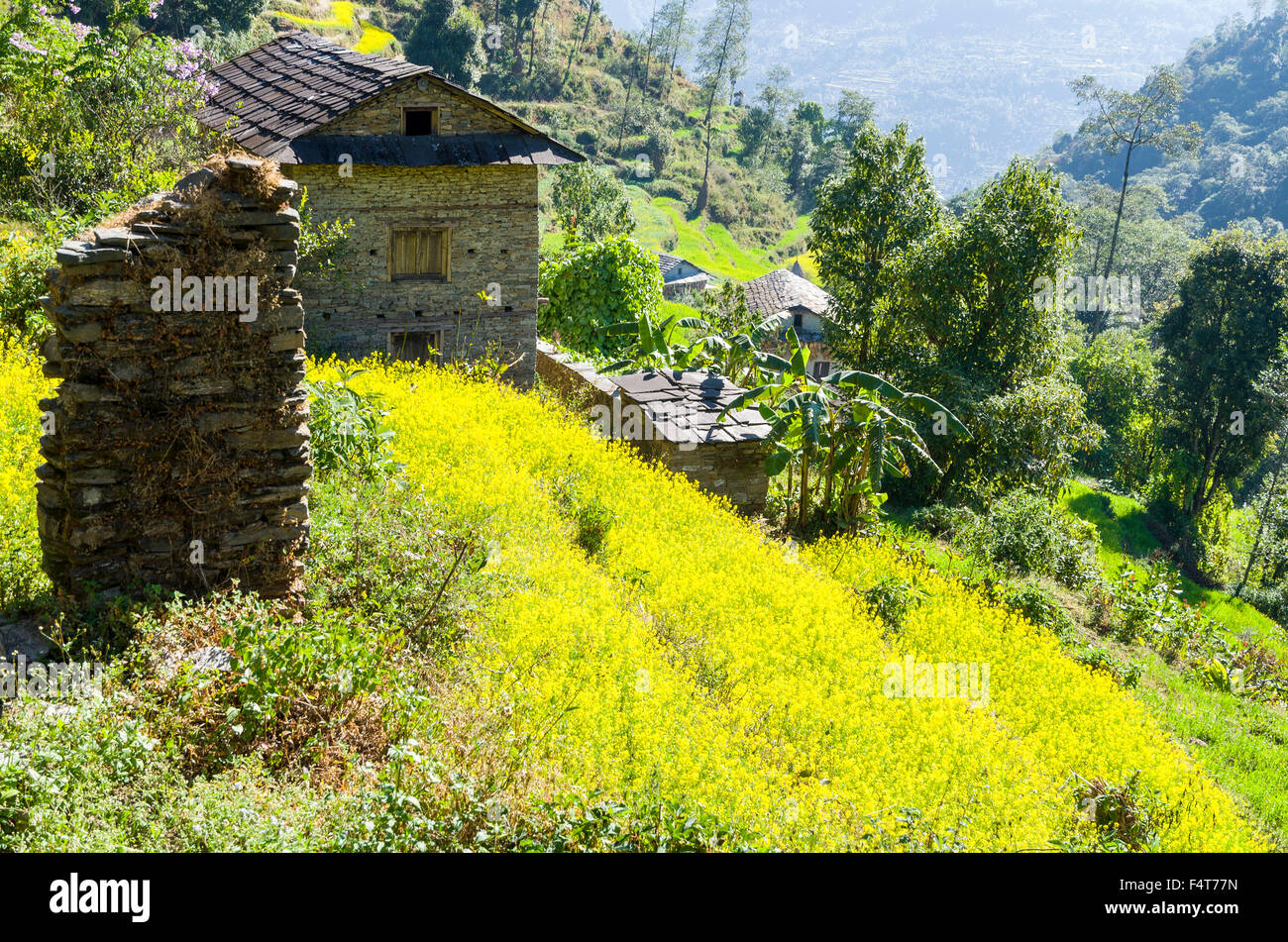 Il paesaggio agricolo con case di contadini Foto Stock Il paesaggio agricolo con case di contadini Foto Stock
