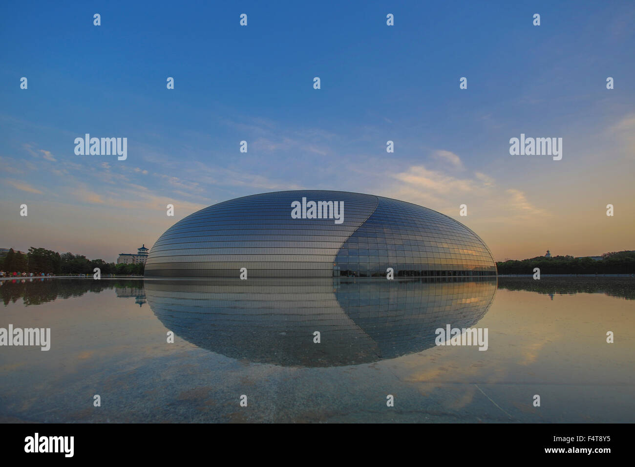 Cina, Pechino, Pechino, Città, centro nazionale per le Arti dello Spettacolo, Nazionale Grand Theatre Foto Stock