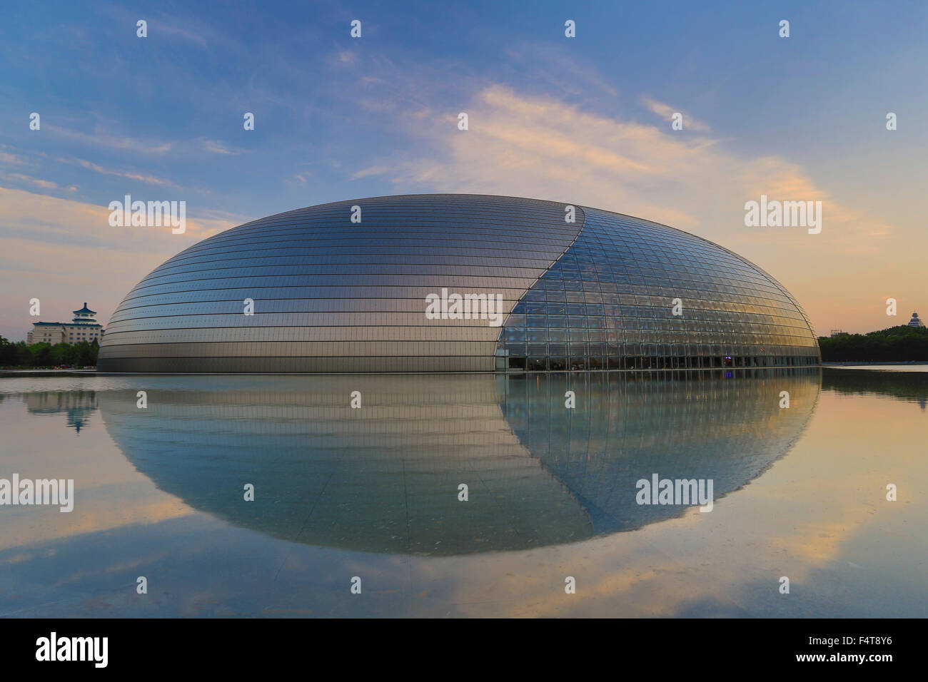 Cina, Pechino, Pechino, Città, centro nazionale per le Arti dello Spettacolo, Nazionale Grand Theatre Foto Stock