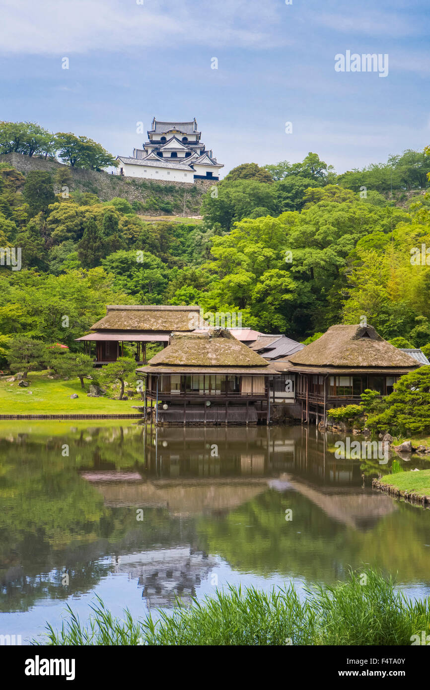 Giappone, Provincia di Shiga, Hikone Città, case da tè e il castello di Hikone Foto Stock