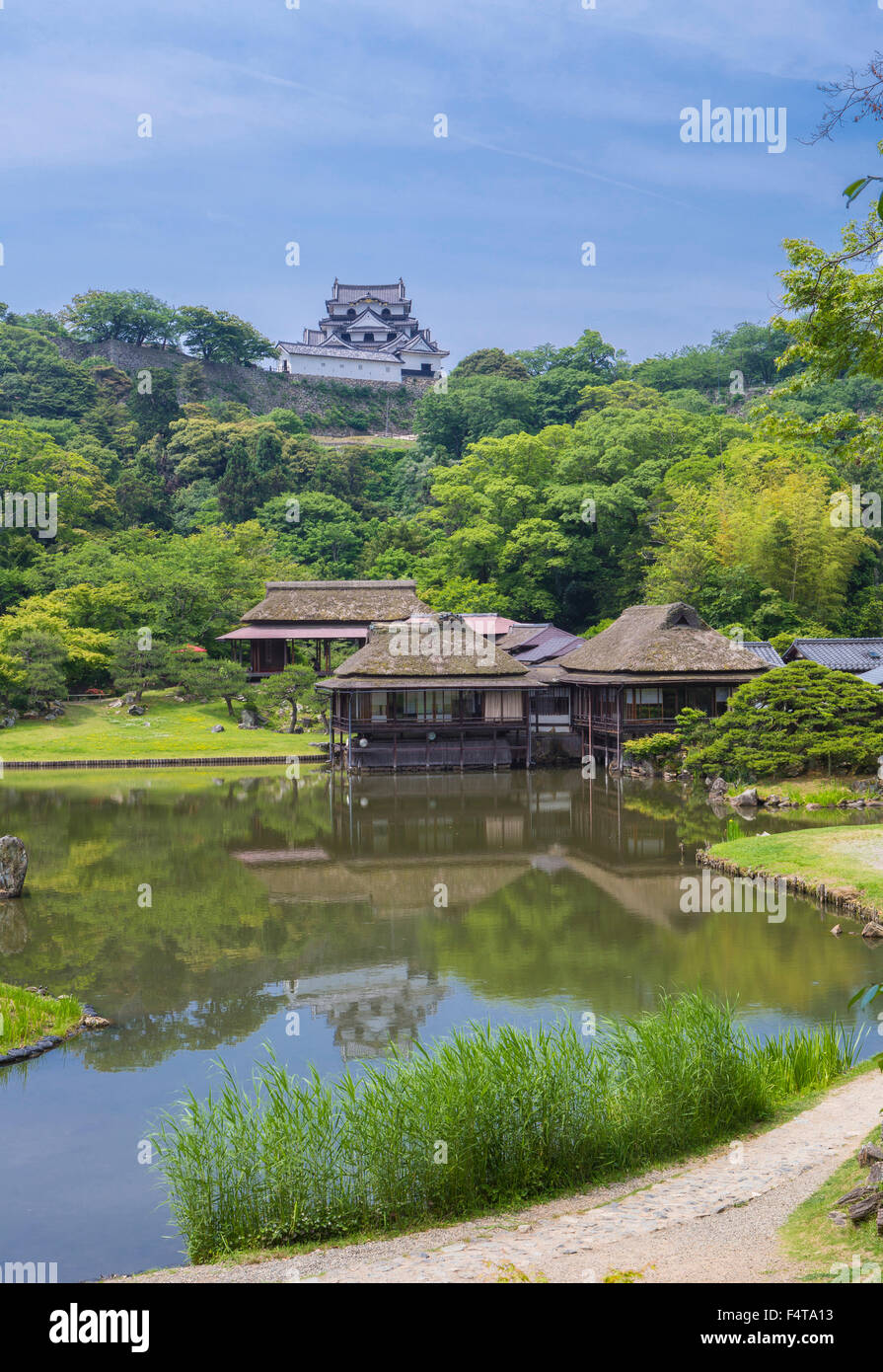 Giappone, Provincia di Shiga, Hikone Città, case da tè e il castello di Hikone Foto Stock