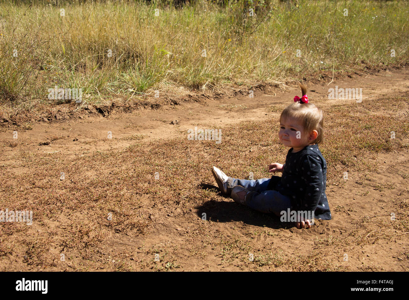 Una bambina seduta in un campo di erba Foto Stock