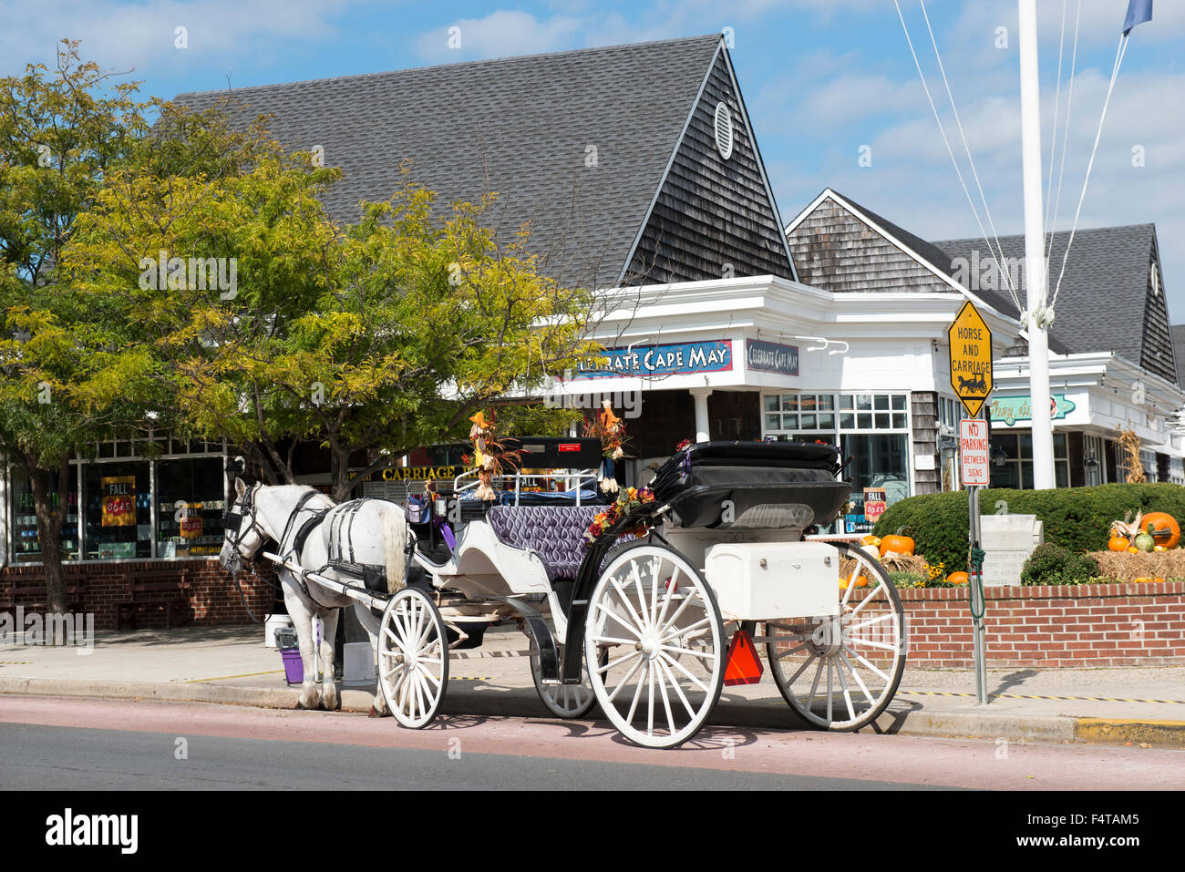 Un cavallo e un carrello in Washington Street Mall in Cape May, New Jersey, STATI UNITI D'AMERICA Foto Stock