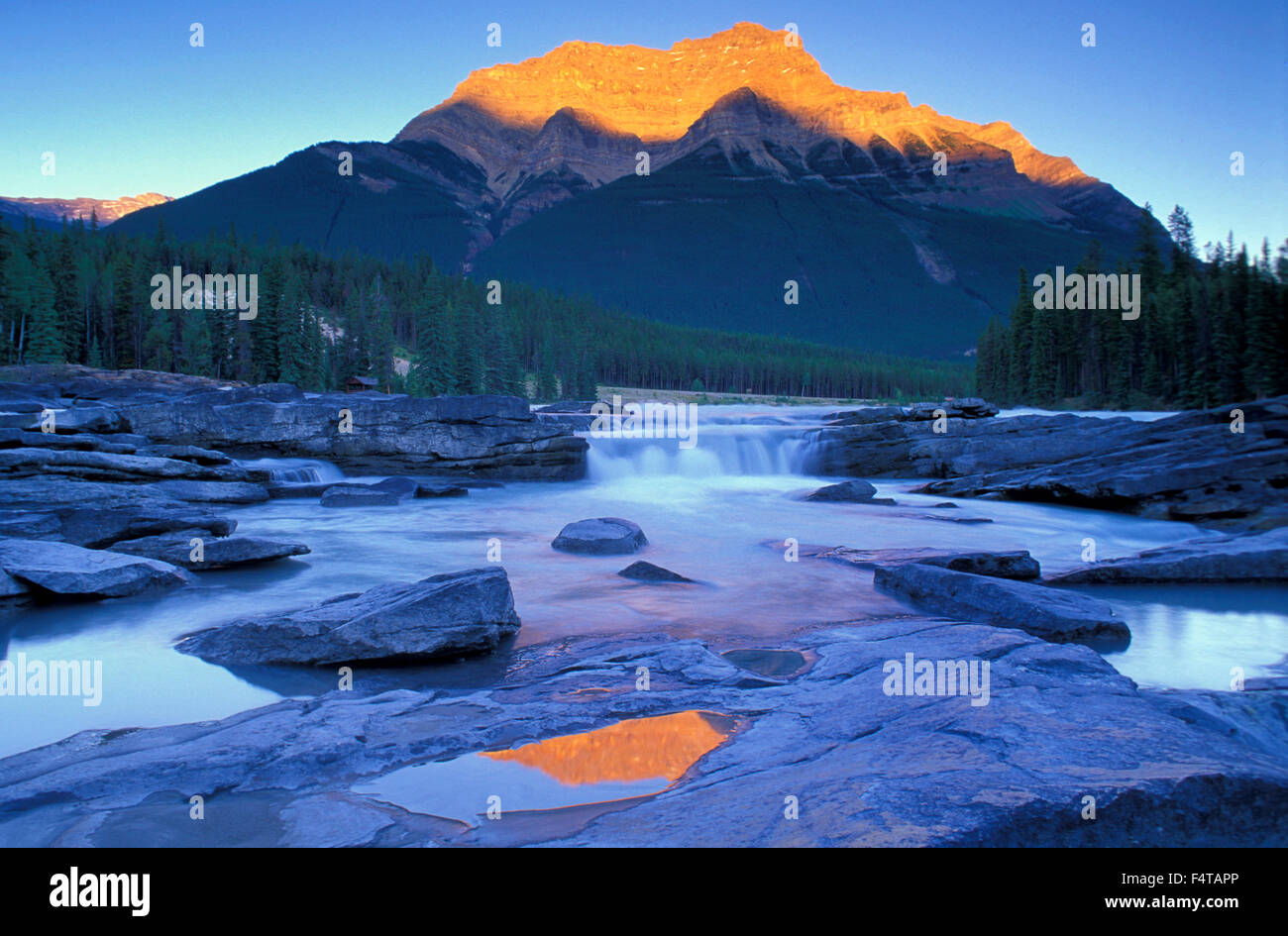 Cascate Athabasca, Jasper National Park, Alberta, Canada Foto Stock