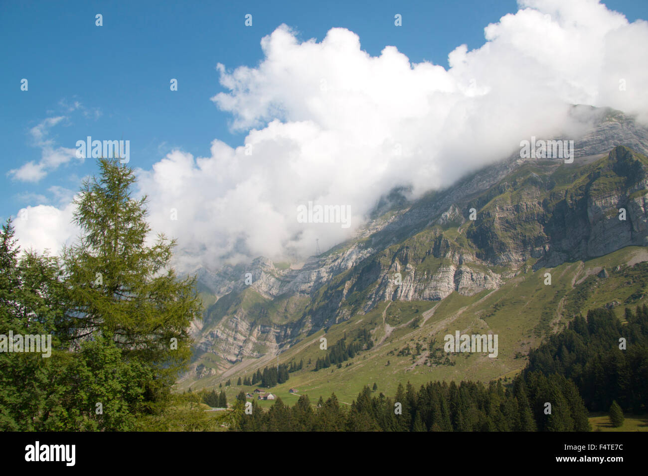 La Svizzera, Europa, Appenzell, Säntis, montagna, nuvole, natura, paesaggio, paesaggio, Foto Stock