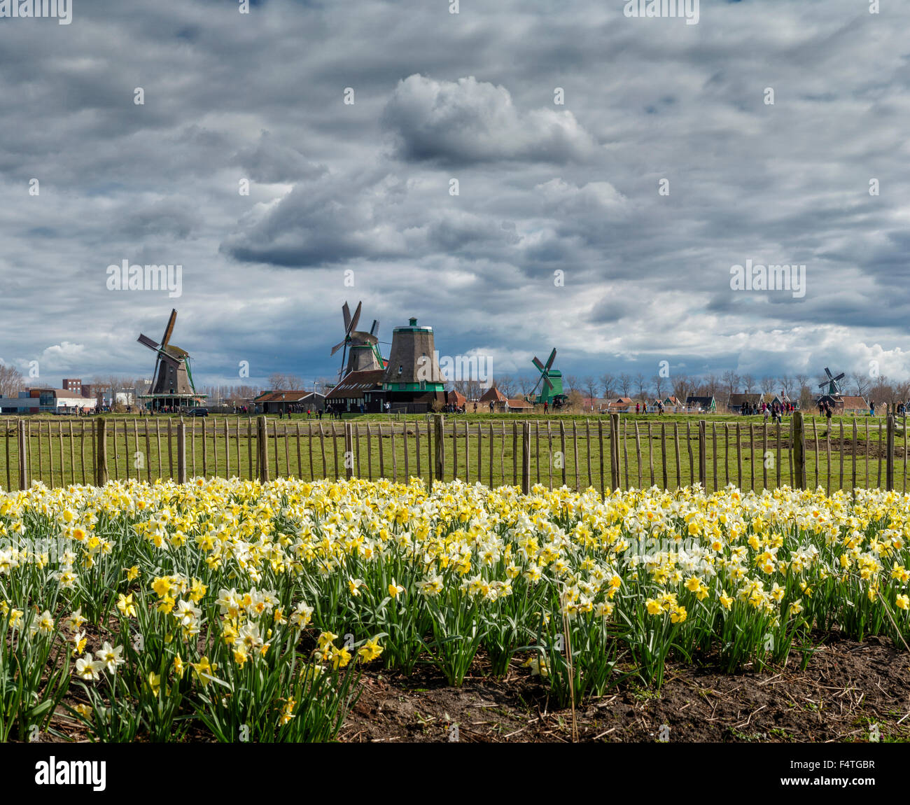 Open Air Museum De Zaanse Schans con mulini a vento Foto Stock