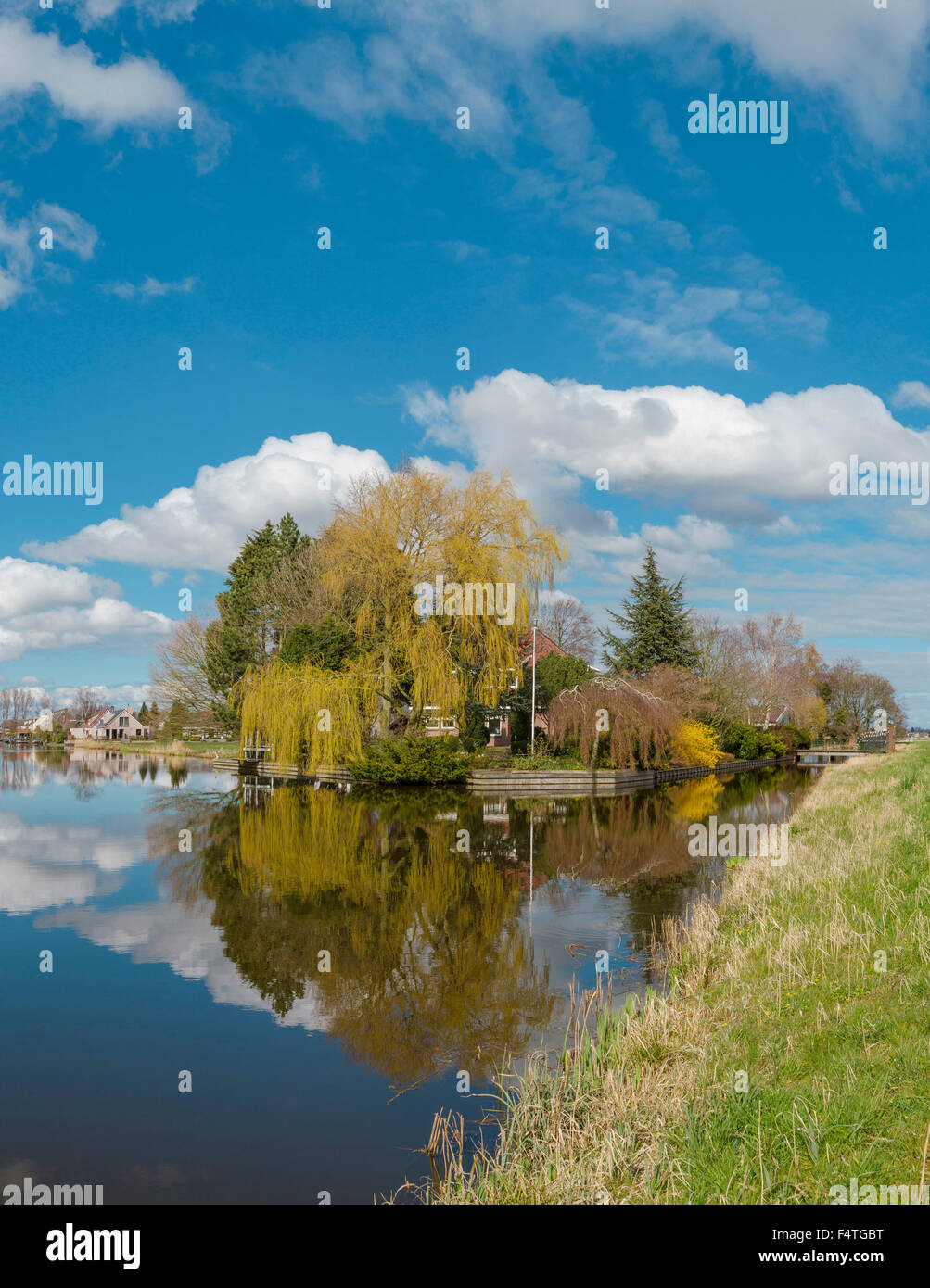 Mulino a vento lungo il fiume Zaan Foto Stock