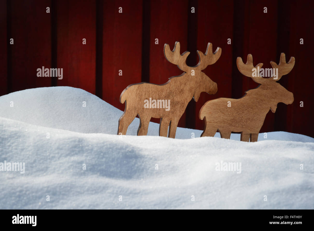 Scheda di Natale sulla neve bianca con le alci Coyple , Spazio di copia Foto Stock