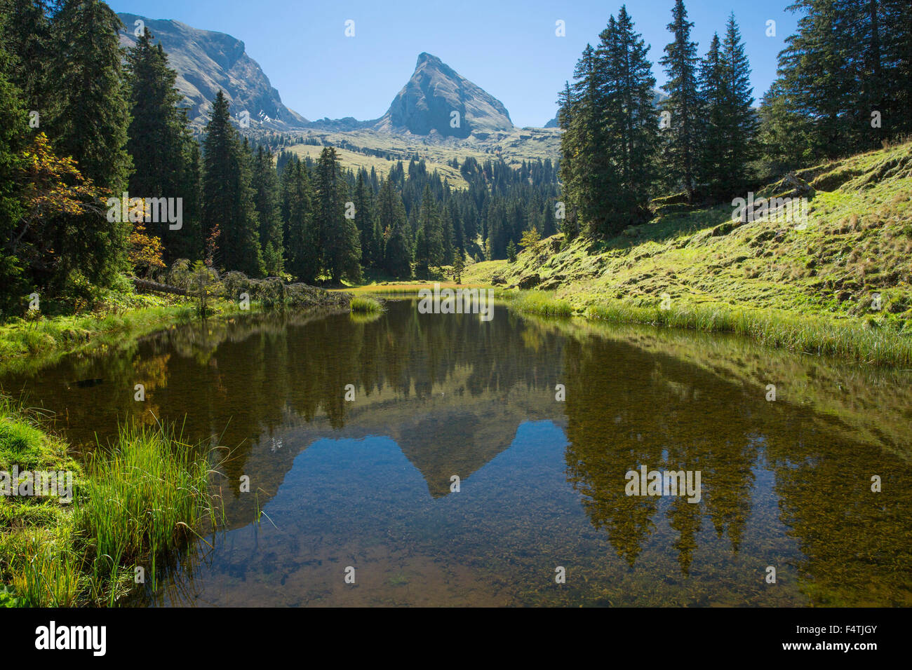 Lago di montagna su Alp Sellamatt vicino Selun nel Toggenburg, Foto Stock