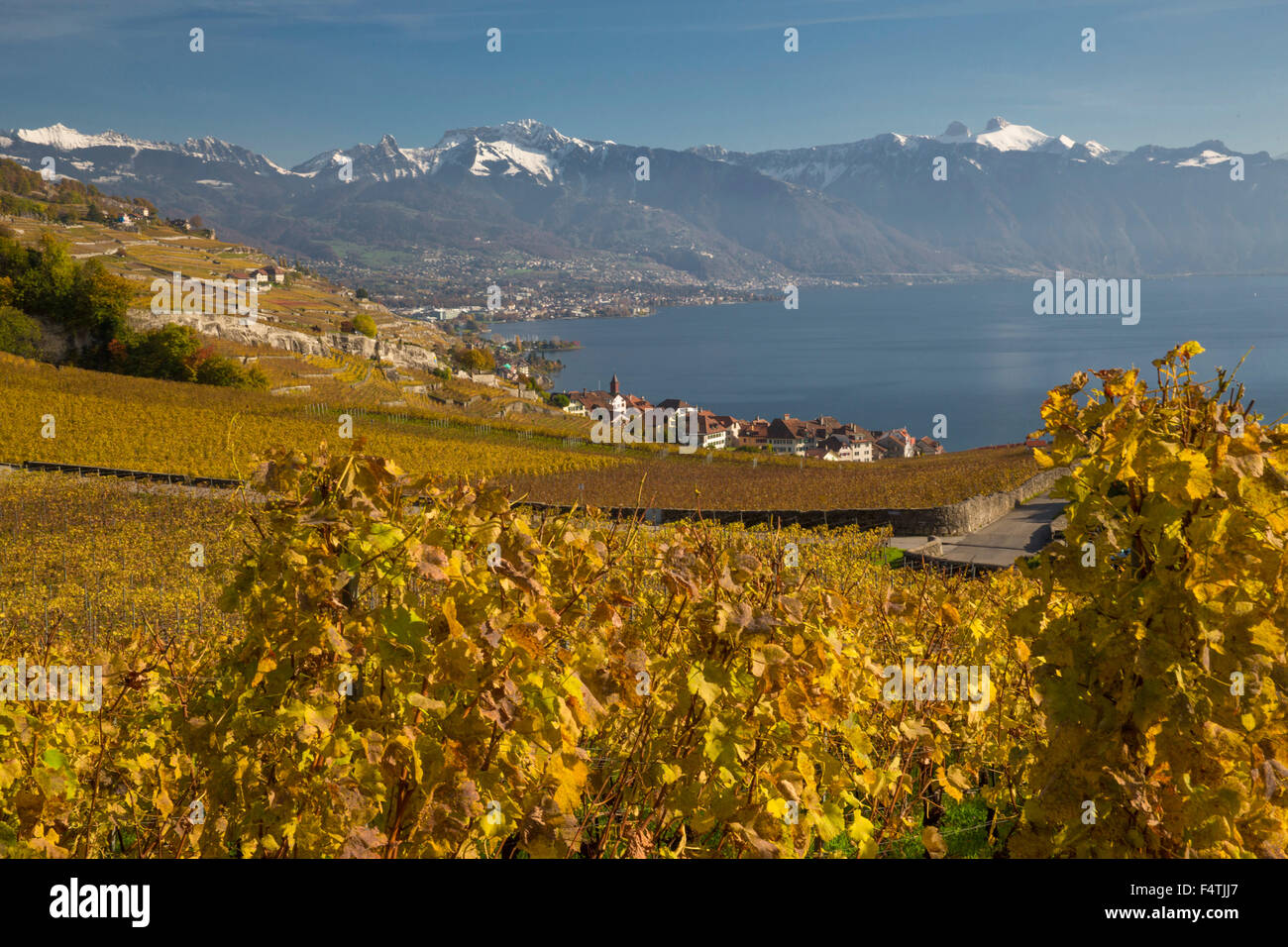 Villaggio Rivaz VD sul lago di Ginevra in autunno Foto Stock