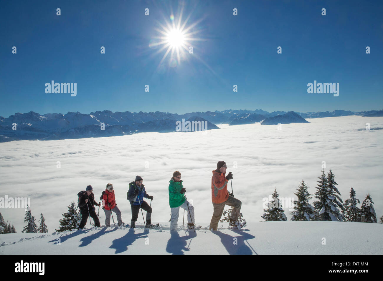 Le racchette da neve, tour sul Rigi, mare di nebbia, Foto Stock