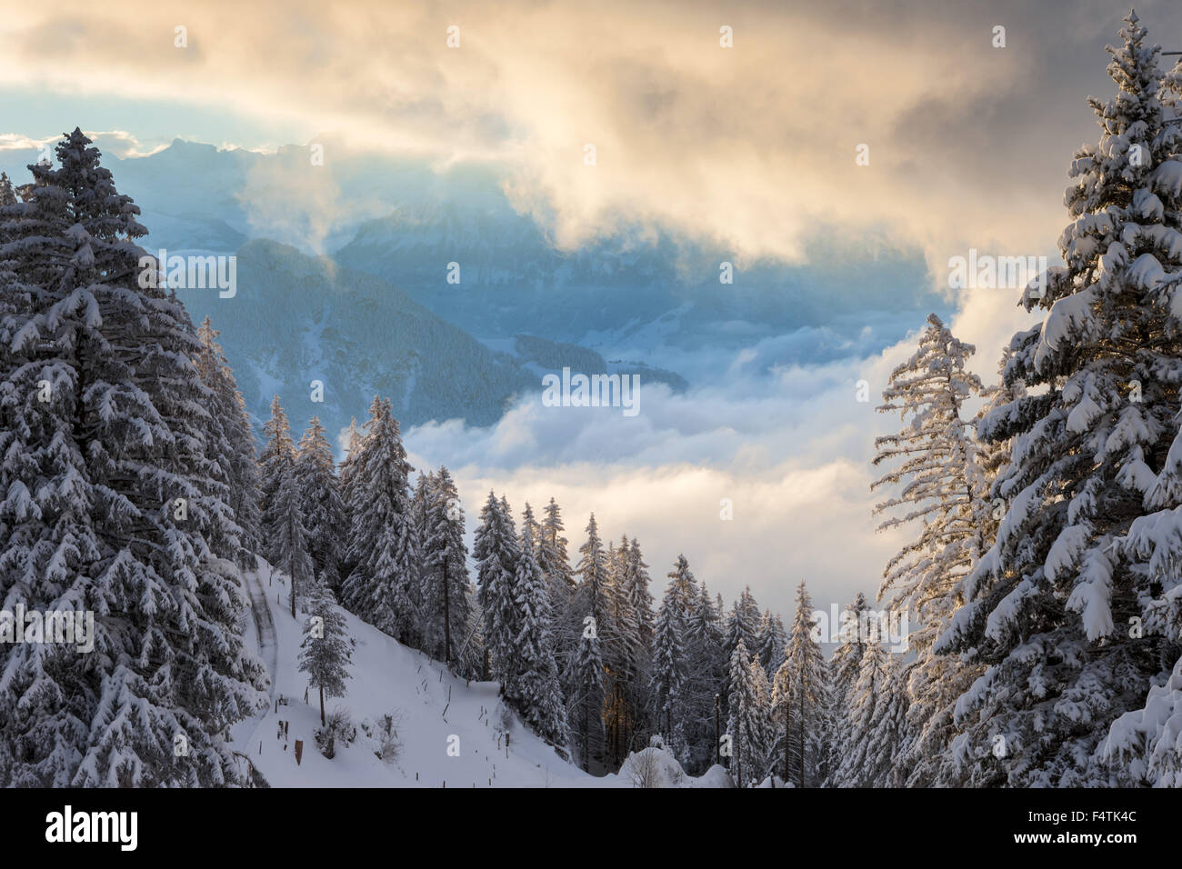 Vista, vista, Rigi bagno freddo, Svizzera Canton Lucerna, legno, foresta, inverno, mattina e l'umore e nuvole Foto Stock