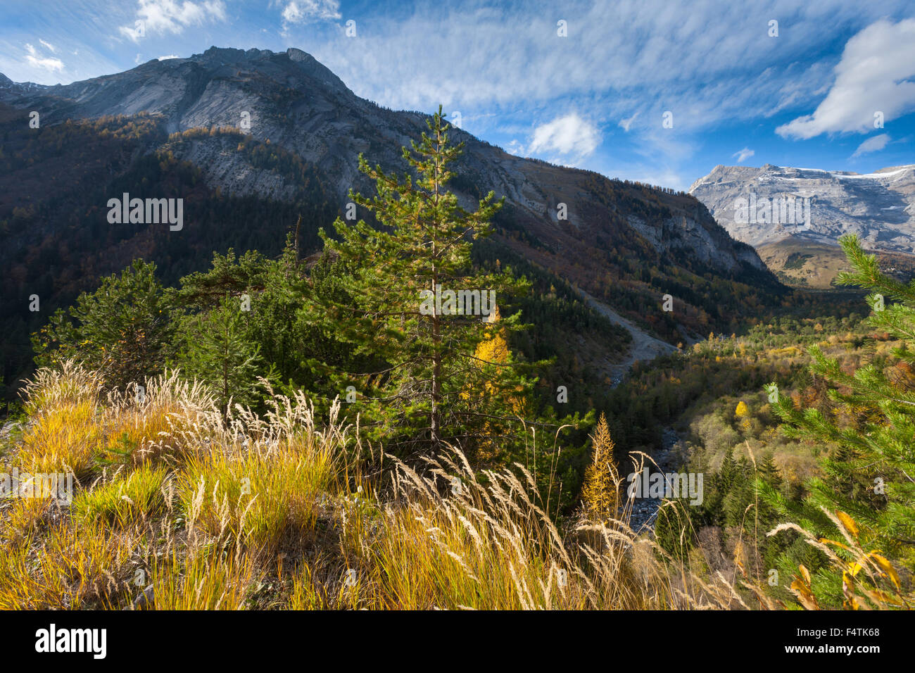 Derborence, Svizzera canton Vallese, legno, foresta, valley, autunno Foto Stock