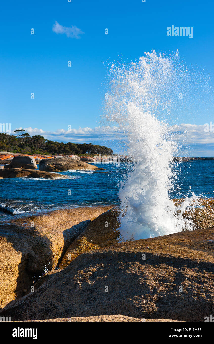 Bicheno Blowhole, Australia Tasmania, costa orientale, Mare, costa, wave, schiuma, foro di acqua Foto Stock