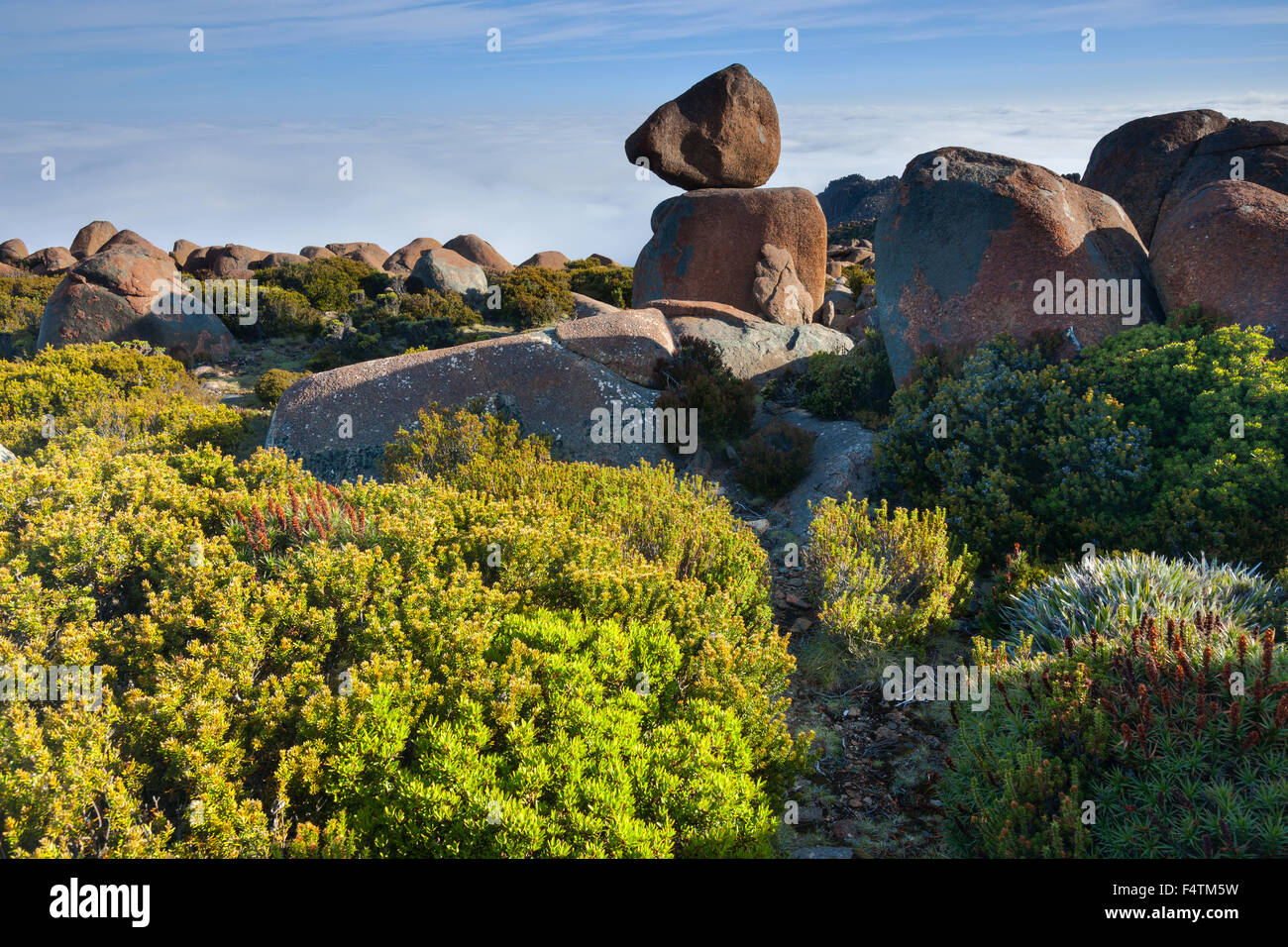Monte Wellington, Australia Tasmania, rock, Cliff, Foto Stock