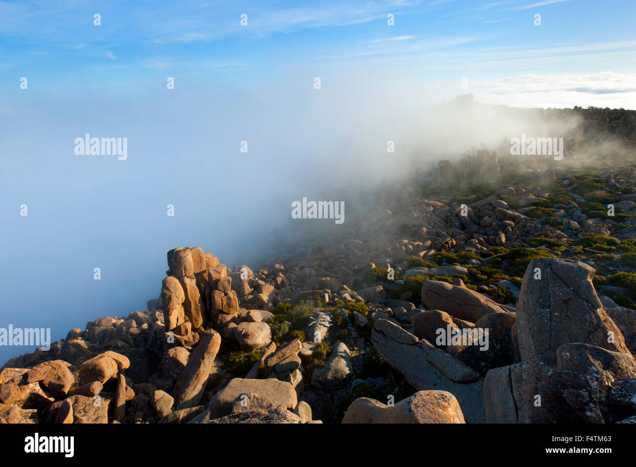 Monte Wellington, Australia Tasmania, rock, Cliff, nebbia Foto Stock