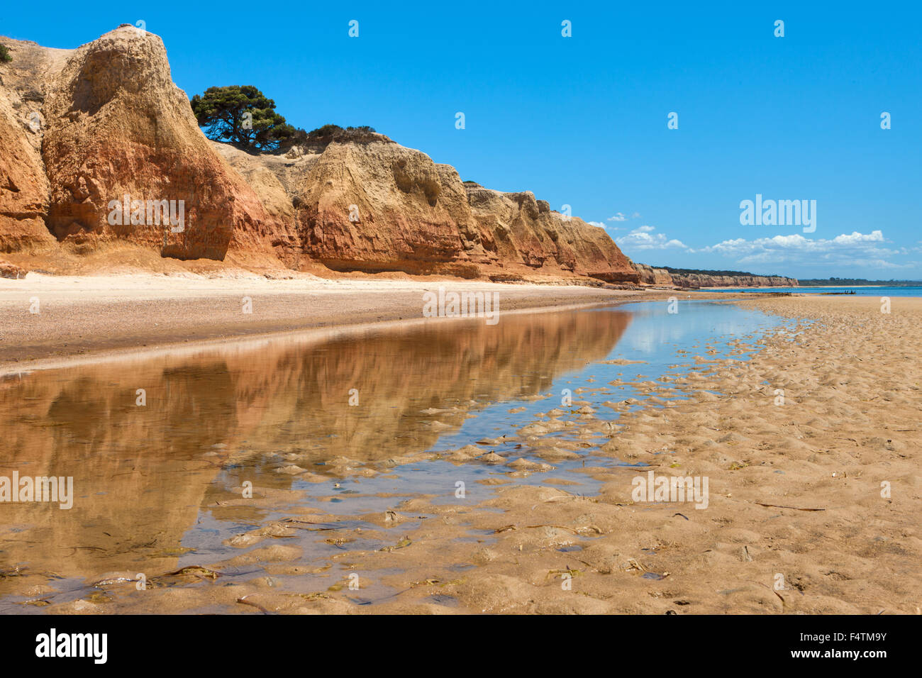 Red banche, Australia, Sud Australia, Kangaroo Island, costa, rock, Cliff, Foto Stock