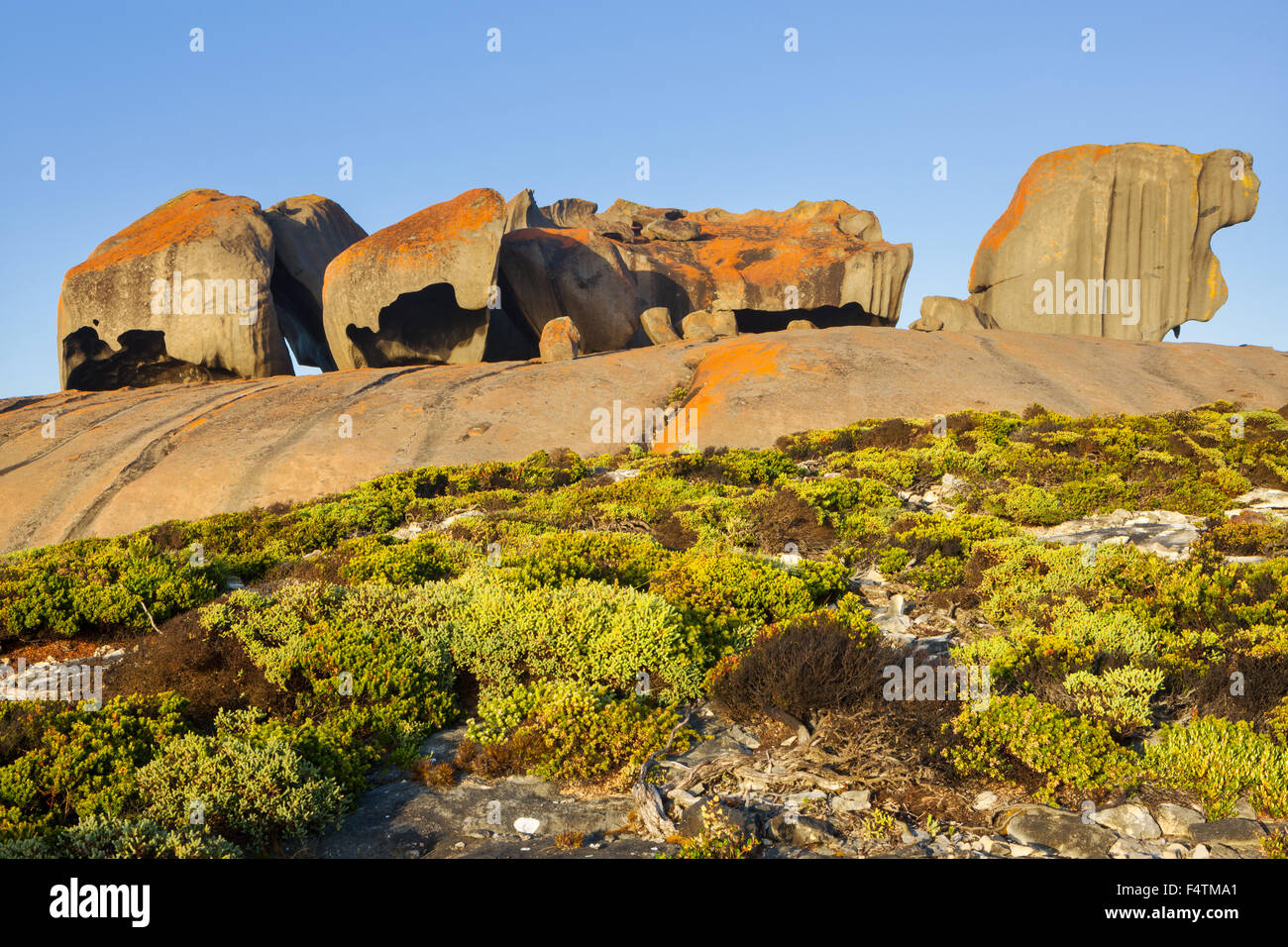 Notevole il rock, Australia, Sud Australia, Kangaroo Island, Flinders Chase National Park, rock, Cliff, licheni Foto Stock