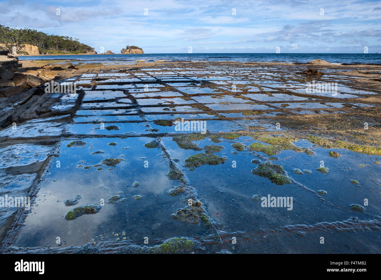 Pavimento a mosaico, Australia Tasmania, Penisola Tasmana, costa, rock, Cliff, Foto Stock