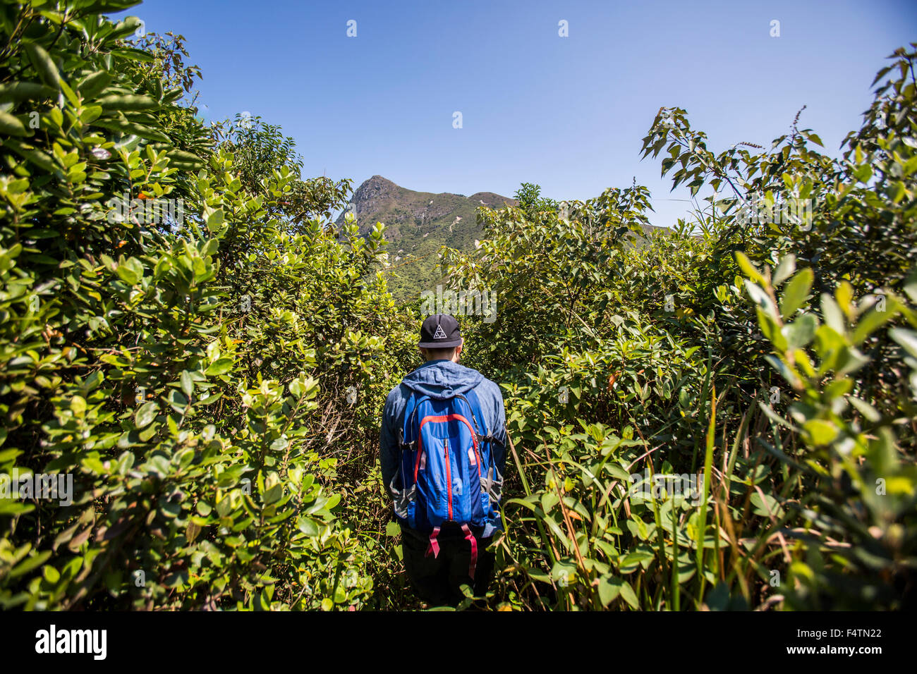 Escursionismo in Nuovi Territori di Hong Kong, via picco netto, prosciutto Tim Beach e di Tai Wan a lungo. Foto Stock