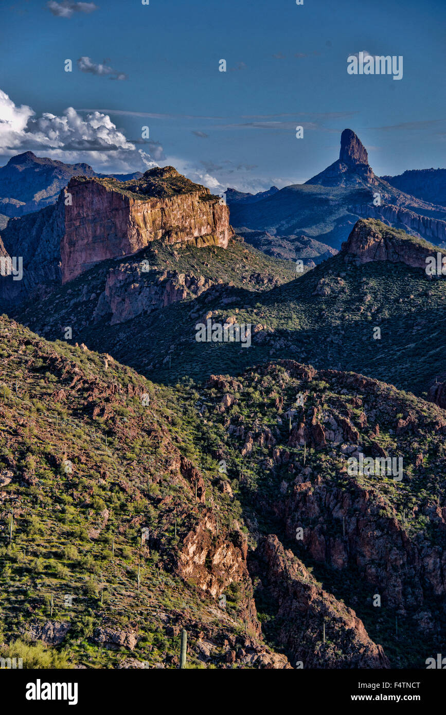 Tessitore ago, superstizione, deserto, Arizona, Stati Uniti d'America, America, rocce, paesaggio Foto Stock