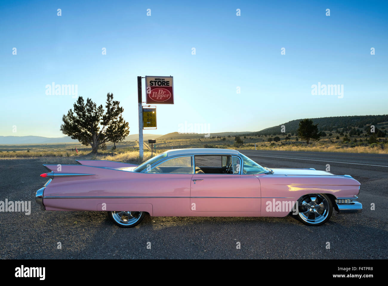 Stati Uniti d'America, Oregon, rosa cadiilac lungo l'autostrada Foto Stock