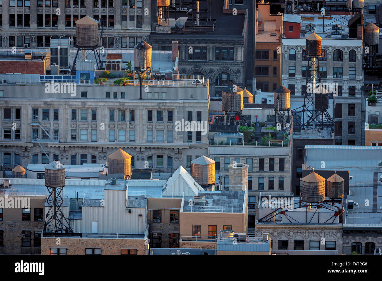 Nel tardo pomeriggio luce su Chelsea costruzione tetti illuminare New York City tipiche torri d'acqua. Manhattan vista aerea, NYC Foto Stock