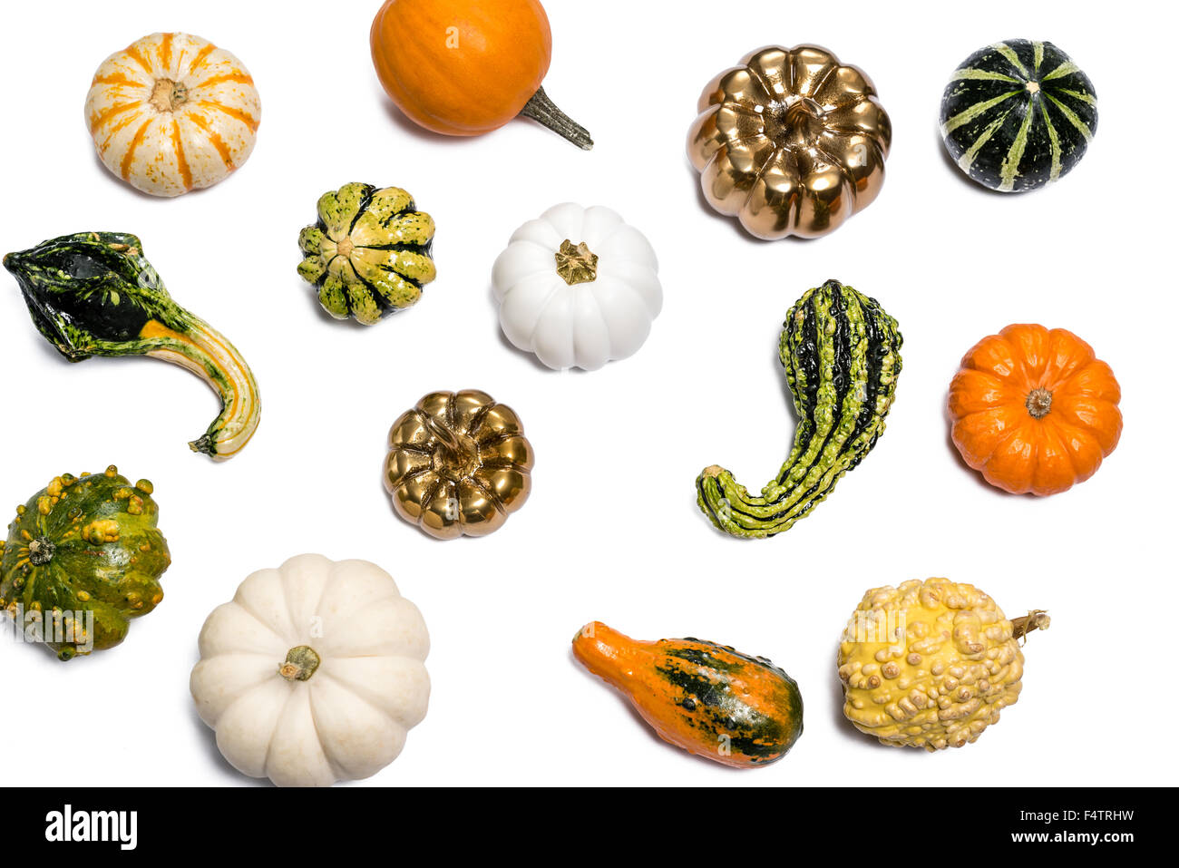 Ringraziamento Autunno Autunno zucca & Gords intaglio su sfondo bianco Foto Stock