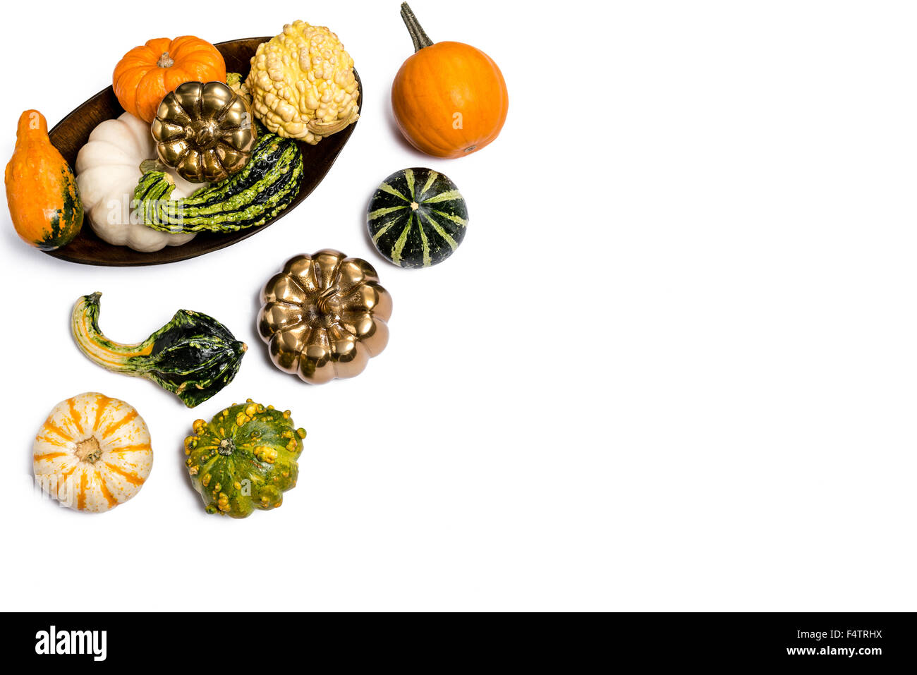 Ringraziamento Autunno Autunno zucca & Gords nella ciotola di legno intaglio su sfondo bianco Foto Stock