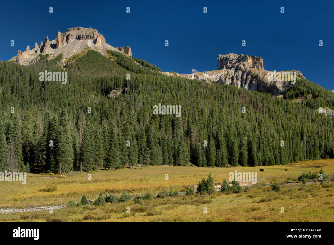Dunsinane Mountain (L) e precipizio di picco (R) nelle montagne di San Juan di Colorado Foto Stock