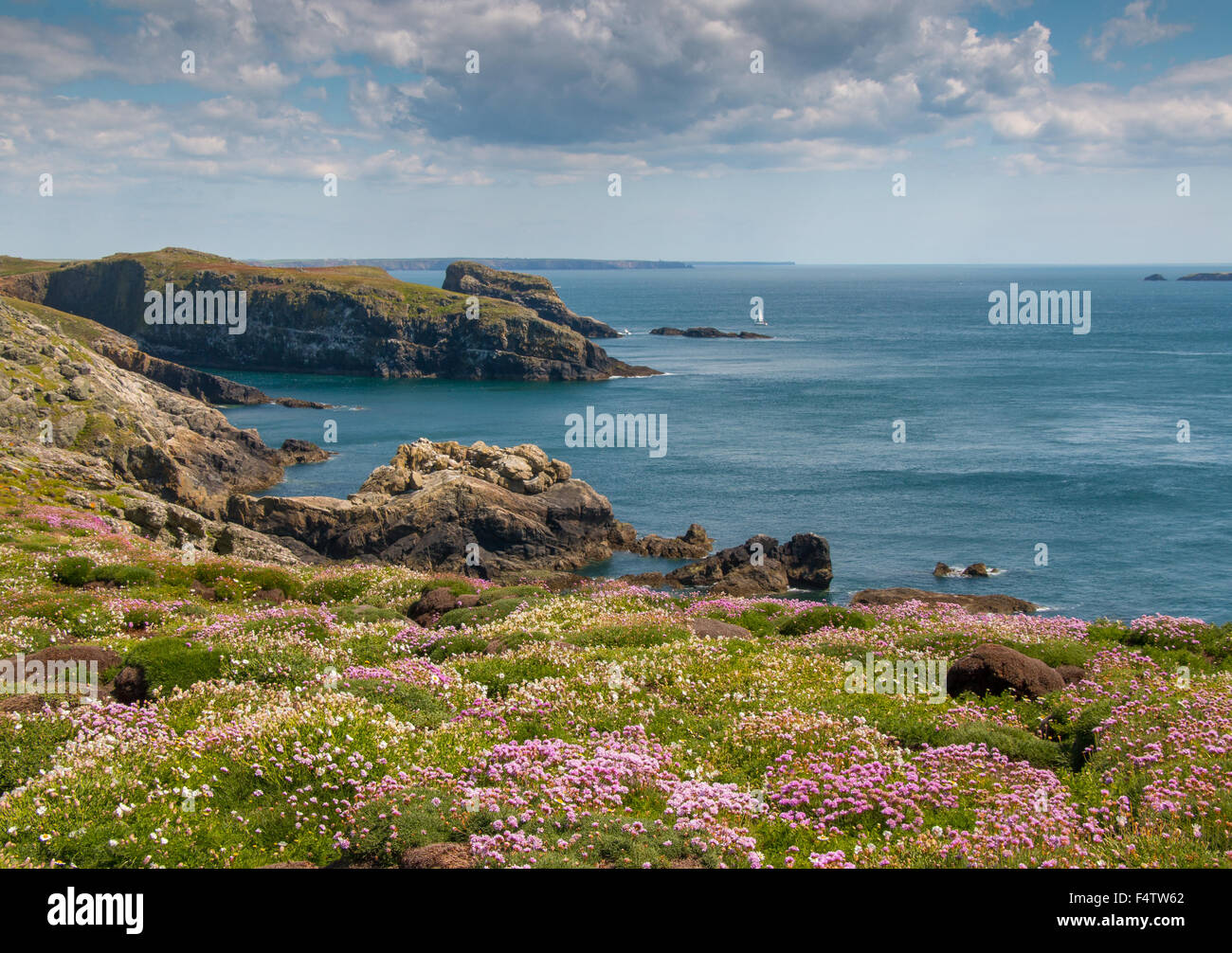 Isola di skomer, Pembrokeshire, Galles Foto Stock