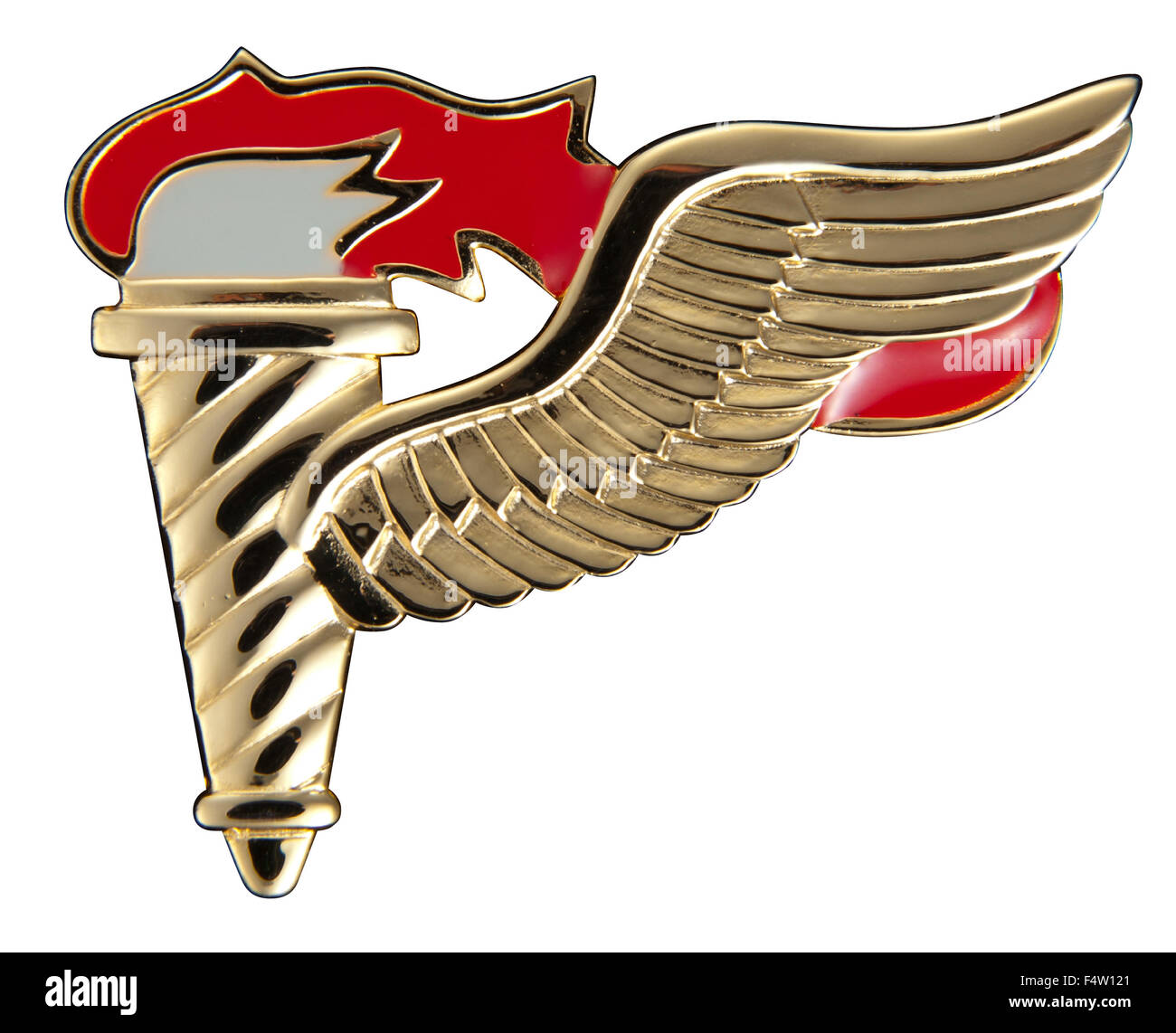 Militari USA badge Pathfinder Foto Stock