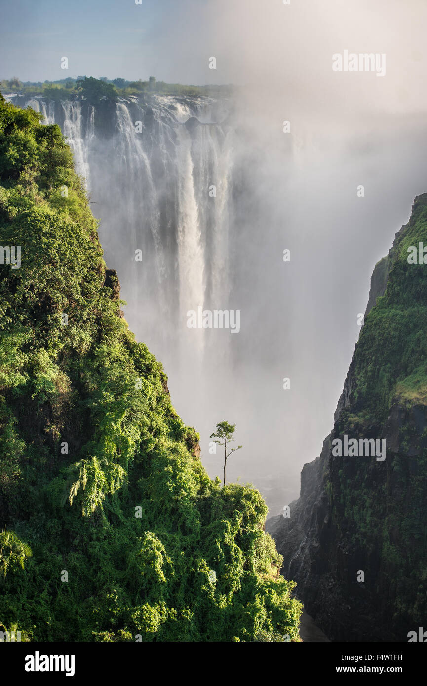 VICTORIA FALLS, dello Zimbabwe , AFRICA - Victoria Falls (Mosi-oa-Tunya) , mondi più grande cascata , sul fiume Zambesi Foto Stock