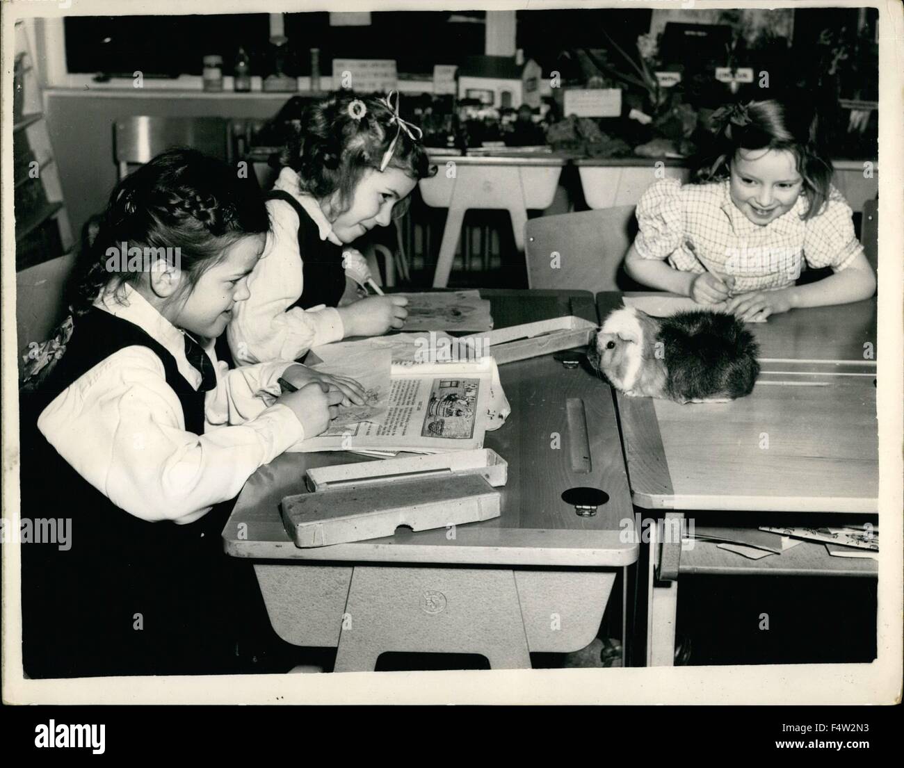 1955 - Apertura di Southmead Scuola Primaria; ci sono poche scuole a Londra i cui motivi sono così ben attrezzate e stabilito che anche per lo studio della natura i bambini non hanno affatto bisogno di andare al di là dei confini della scuola. Questo felice stato della vicenda esistente al nuovo Southmead scuola primaria a Wimbledon area parco, che è stato inaugurato oggi da Miss Maria campo, ben noto per il suo lavoro in connessione con pellicole dei bambini. Un piccolo giardino pavimentato è previsto che hanno letti di fiori per i bambini a coltivare. La foto mostra tre piccoli allievi hanno un live cavia per la loro lezione di disegno a th Foto Stock