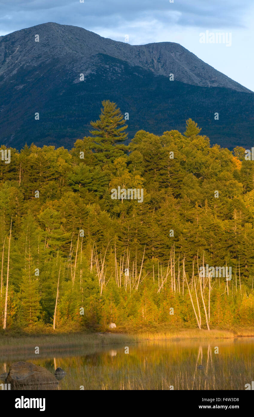 Foresta di fronte al Monte Katahdin a Tracy stagno, Baxter State Park, Maine Foto Stock