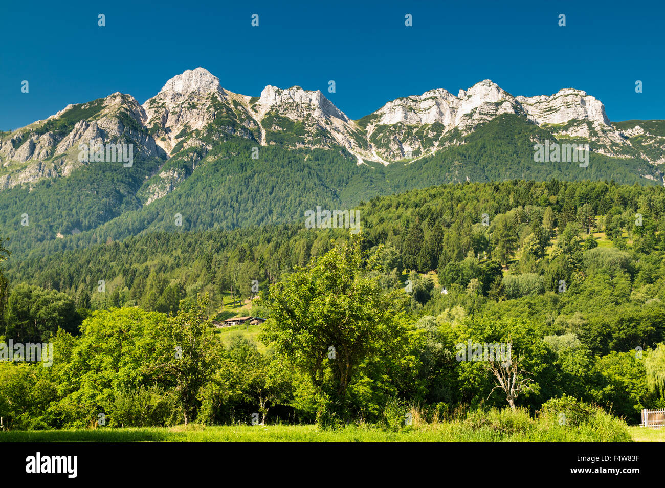 Vista sulle Dolomiti, Alpi italiane famose in tutto il mondo. Foto Stock