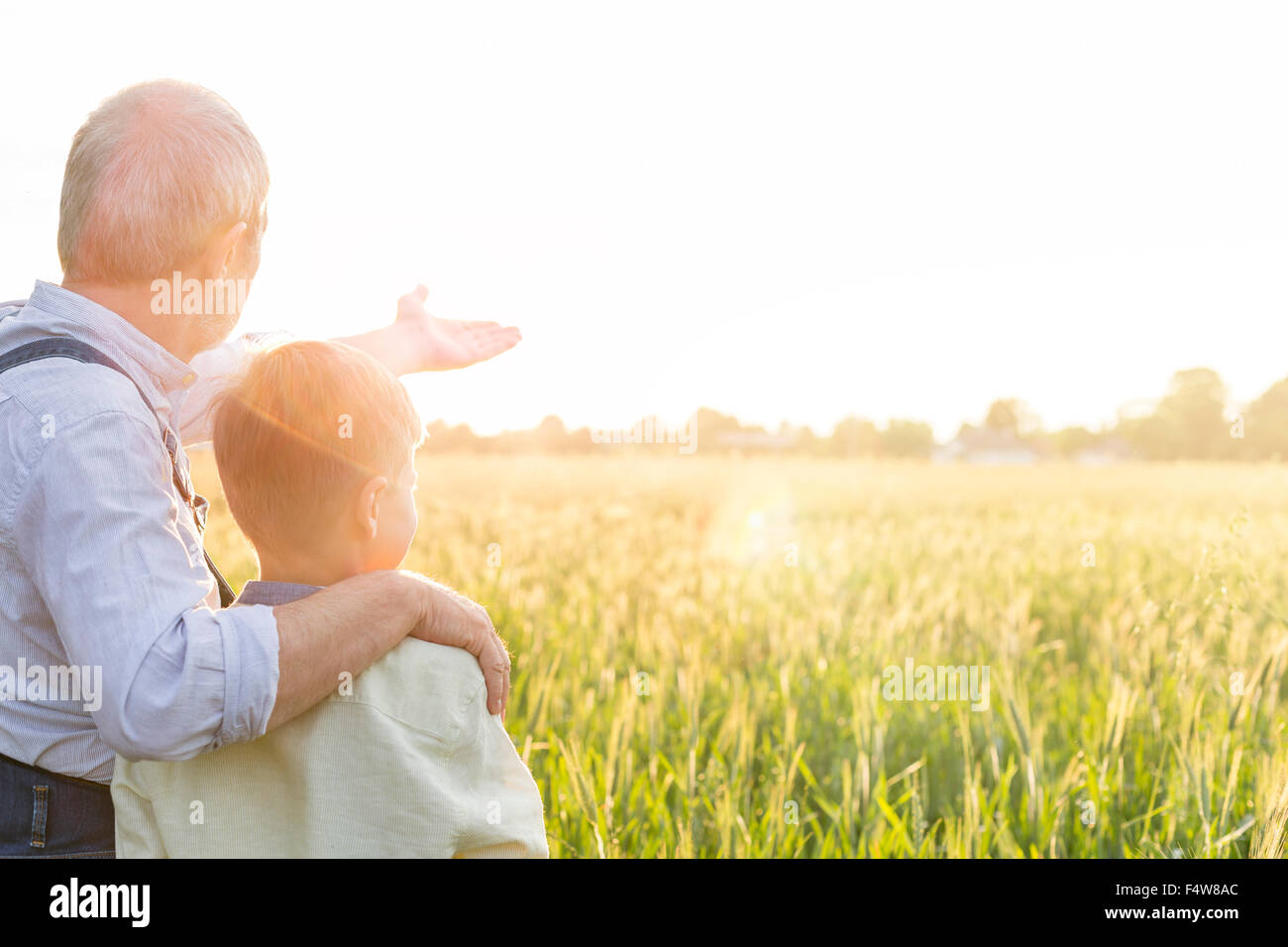 Nonno agricoltore spiegando rurale raccolto di grano al nipote Foto Stock