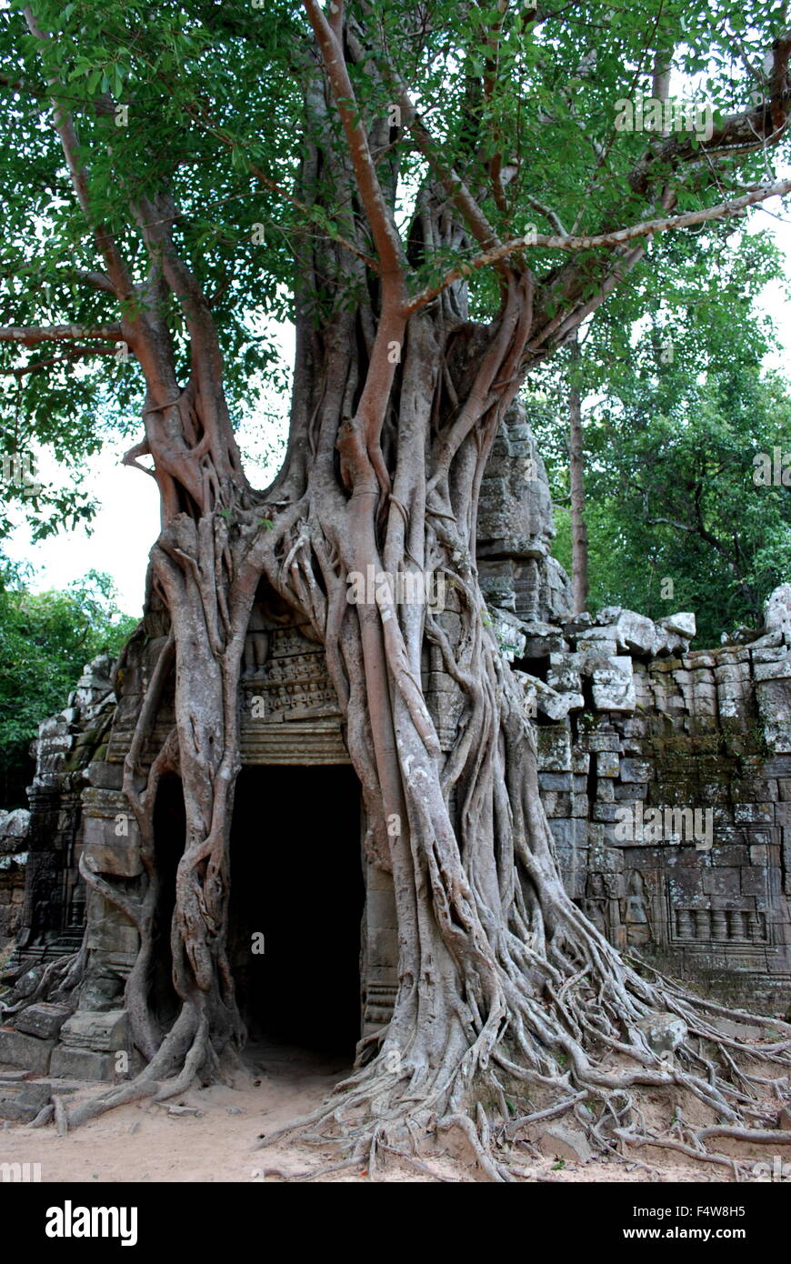 Antica Preah Khan temple, Parco Archeologico di Angkor, Siem Reap, Cambogia Foto Stock