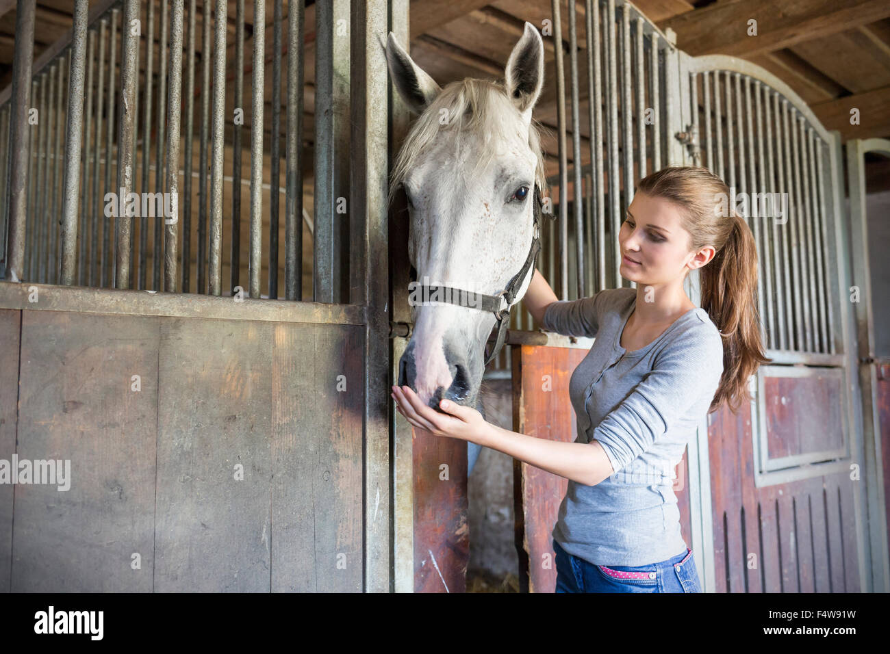 Donna cavallo di alimentazione a pressione di stallo stabile Foto Stock