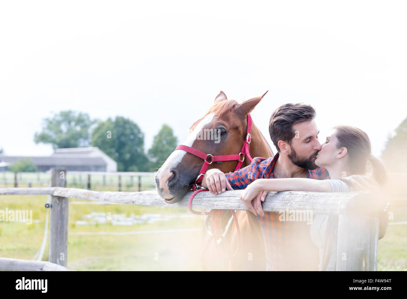Coppia con Horse baciare a pascolo rurale recinzione Foto Stock