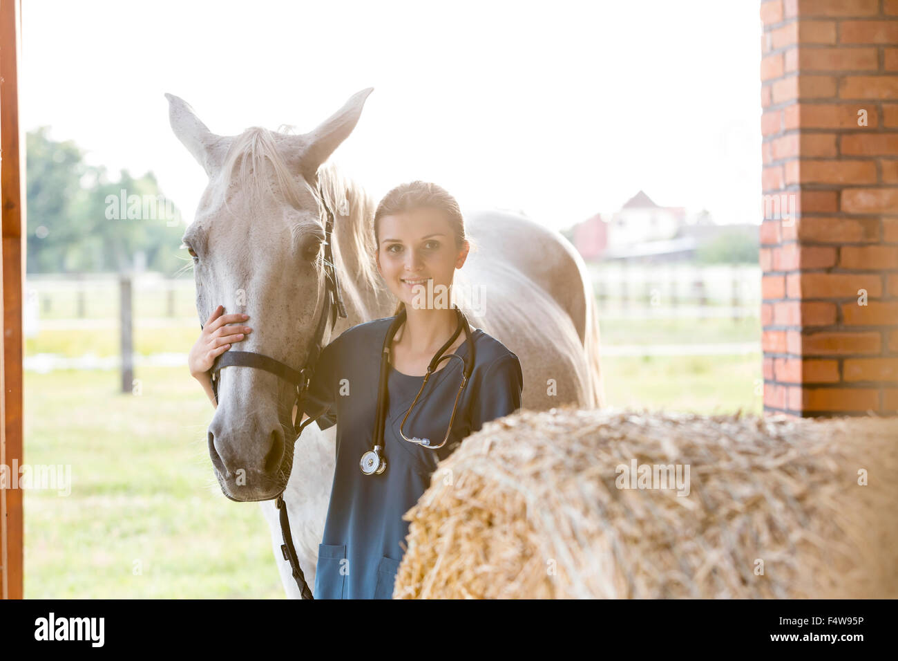Ritratto sorridente veterinario con cavallo nel fienile Foto Stock