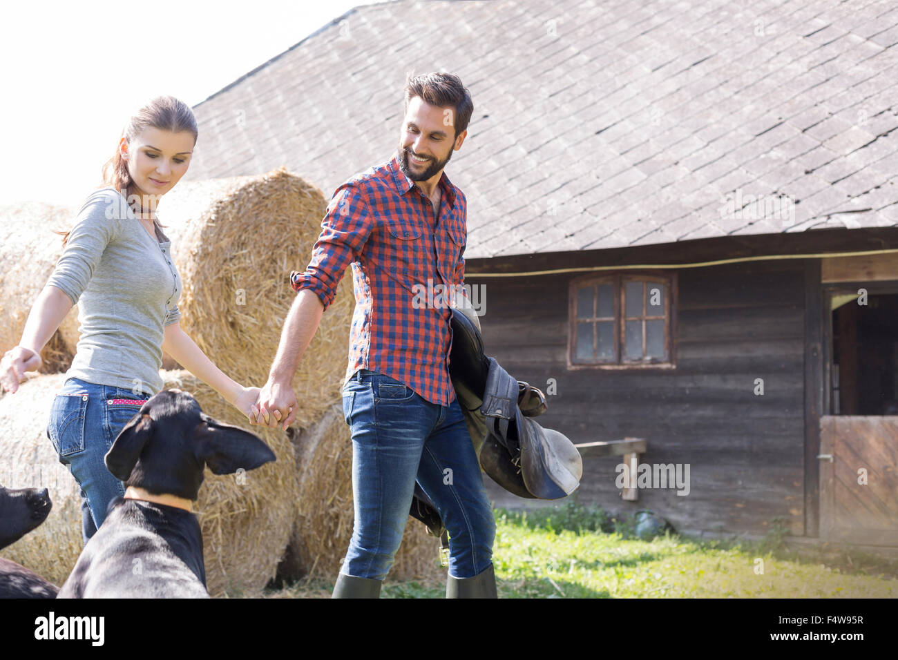 Giovane tenendo le mani a piedi con sella e cani al di fuori di un fienile Foto Stock